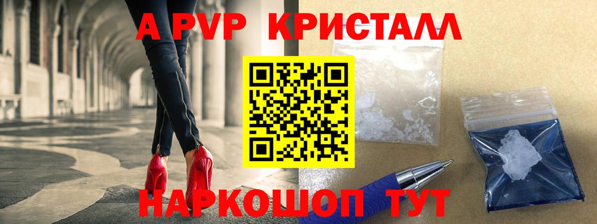 A-PVP СК КРИС Лесосибирск