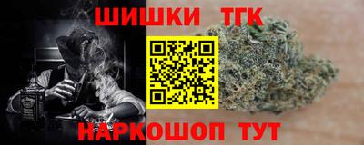 стаф Брянск