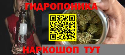 стаф Брянск