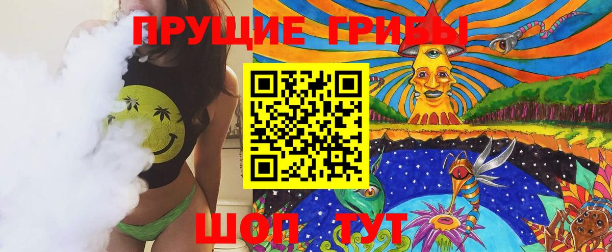 Лесосибирск  Псилоцибиновые грибы мухоморы  Вход с VPN 